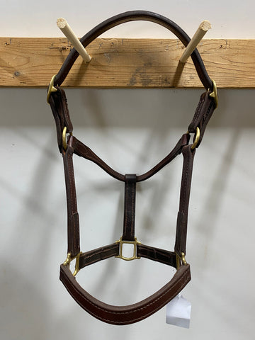Bridals, Halters, Headstalls