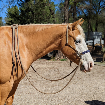 Splits Reins